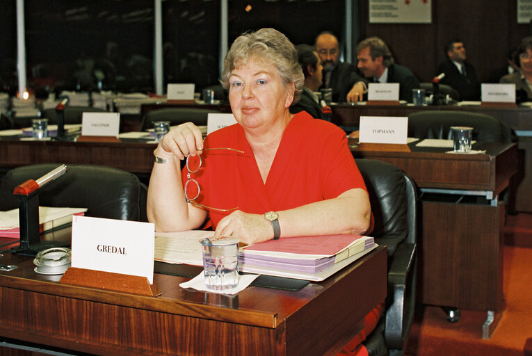 Fotografi 13: Danish Members of the Socialist Group at work