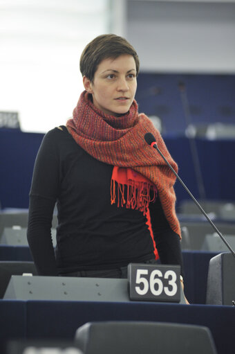 Zdjęcie 12: Plenary session in Strasbourg - Week 6 2013 - Dialogue for a peaceful solution of the Kurdish issue in Turkey