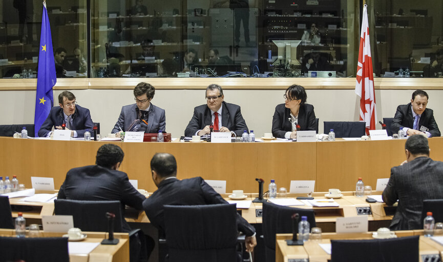 Conclusions of the 15th EU-Georgia Parliamentary Cooperation Committee meeting