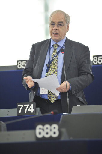 Zdjęcie 21: Plenary session in Strasbourg - Week 6 2013 - Dialogue for a peaceful solution of the Kurdish issue in Turkey