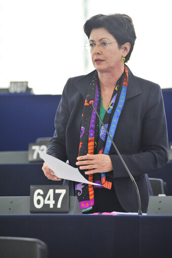 Zdjęcie 25: Plenary session in Strasbourg - Week 6 2013 - Dialogue for a peaceful solution of the Kurdish issue in Turkey