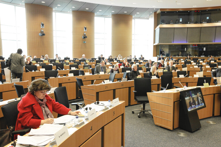 Fotografia 3: AFET Exchange of views with the Speaker of the Parliament of Montenegro, on the country accession process