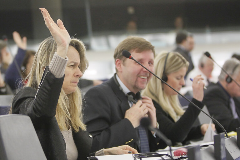 Photo 6: Plenary session week 6 2013 in Strasbourg