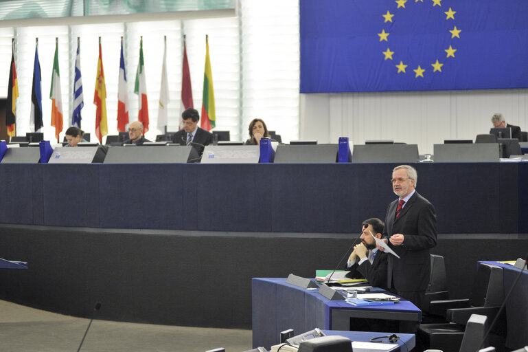 Plenary session week 6 2013 in Strasbourg