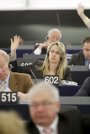 Fotografie 1: Plenary session week 6 2013 in Strasbourg