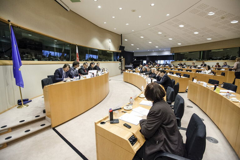 Conclusions of the 15th EU-Georgia Parliamentary Cooperation Committee meeting