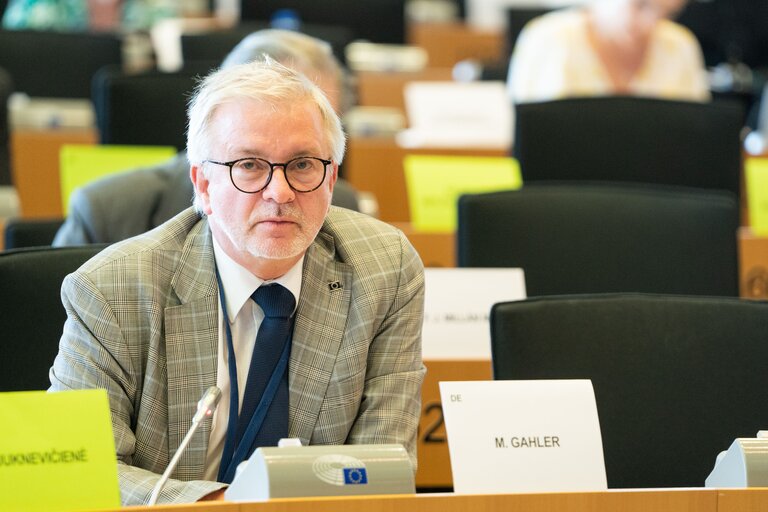 AFET Committee - Exchange of views with Jan Lipavský, Minister of Foreign Affairs of the Czech Republic, on the priorities of the Czech Presidency of the Council of the European Union