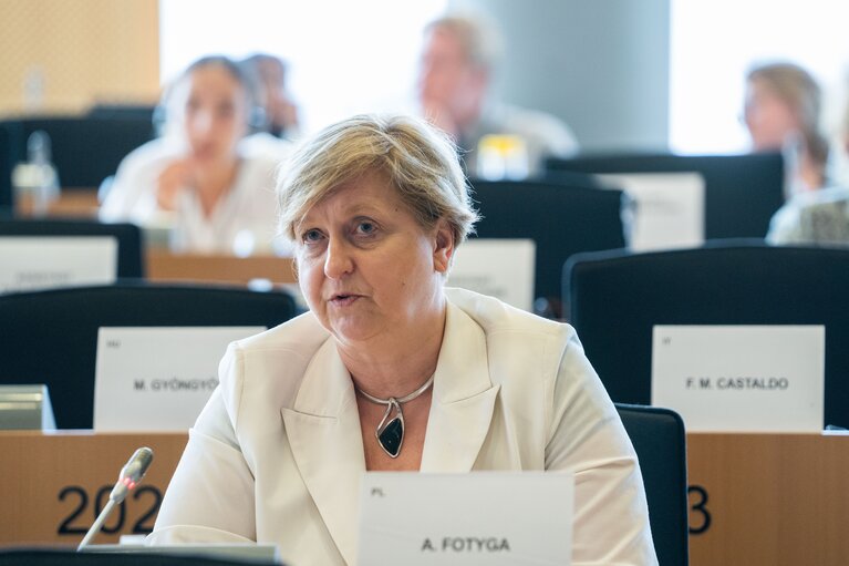 AFET Committee - Exchange of views with Jan Lipavský, Minister of Foreign Affairs of the Czech Republic, on the priorities of the Czech Presidency of the Council of the European Union