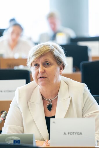 AFET Committee - Exchange of views with Jan Lipavský, Minister of Foreign Affairs of the Czech Republic, on the priorities of the Czech Presidency of the Council of the European Union