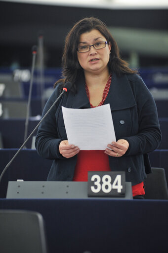 Zdjęcie 8: Plenary session in Strasbourg - Week 6 2013 - Dialogue for a peaceful solution of the Kurdish issue in Turkey