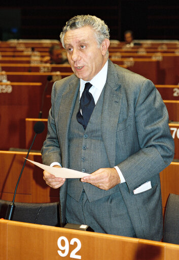 Plenary Session in Brussels