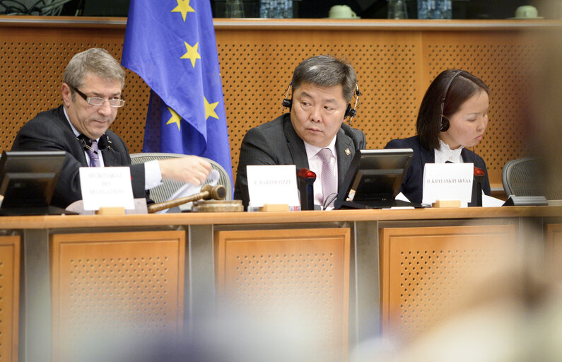 Nuotrauka 7: EU-Republic of Mongolia 9th Interparliamentary Meeting