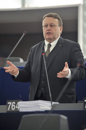 Plenary session week 6 2013 in Strasbourg