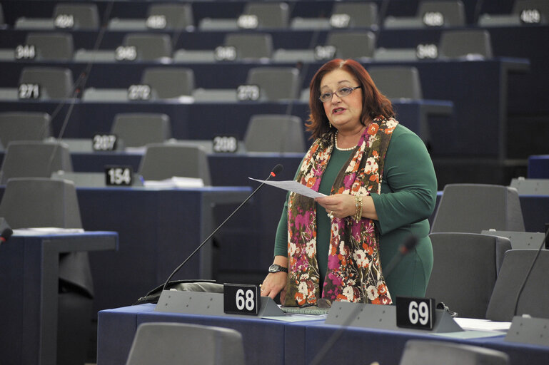 Plenary session week 6 2013 in Strasbourg