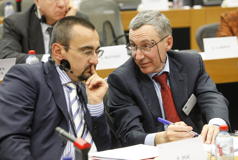 Delegation to the EU-Russia parliamentary cooperation Committee