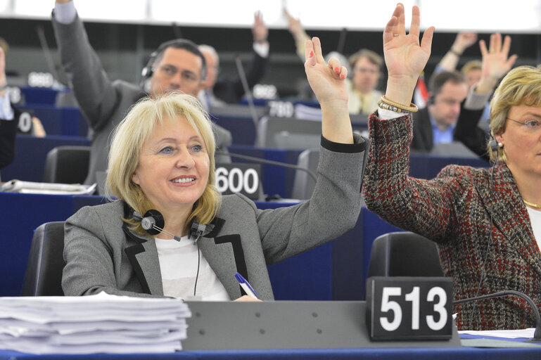 Jolanta HIBNER in plenary session in Strasbourg Week 6 - 2013