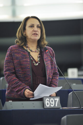 Zdjęcie 11: Plenary session in Strasbourg - Week 6 2013 - Dialogue for a peaceful solution of the Kurdish issue in Turkey