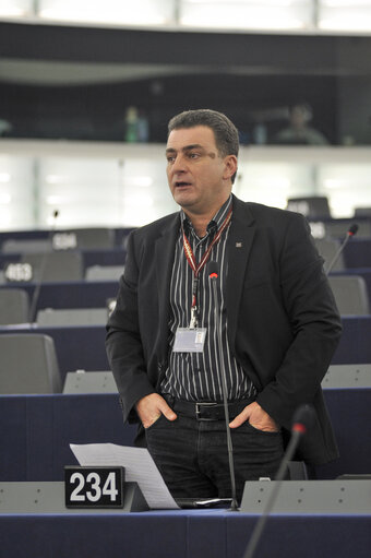 Plenary session week 6 2013 in Strasbourg