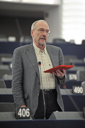 Plenary session week 6 2013 in Strasbourg