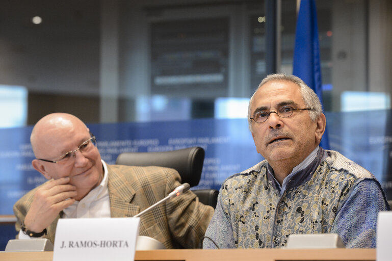 Photo 7: AFET Committee meeting - Exchange of views with UN Secretary General's Representative for Guinea Bissau