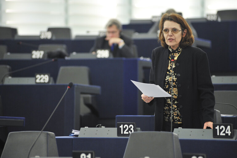 Zdjęcie 23: Plenary session in Strasbourg - Week 6 2013 - Dialogue for a peaceful solution of the Kurdish issue in Turkey