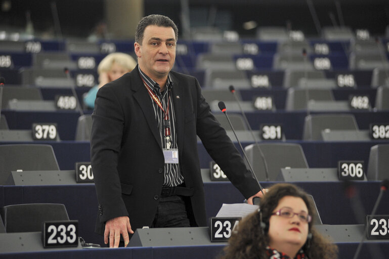 Plenary session week 6 2013 in Strasbourg