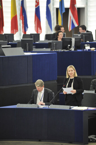 Zdjęcie 39: Plenary session in Strasbourg - Week 6 2013 - Dialogue for a peaceful solution of the Kurdish issue in Turkey