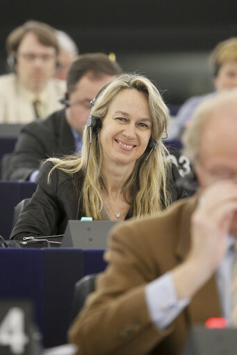 Fotografie 4: Plenary session week 6 2013 in Strasbourg