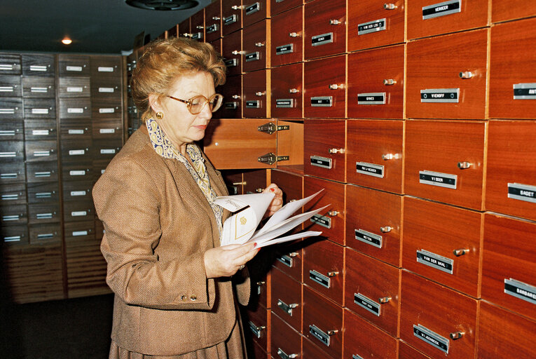 Fotografi 10: Danish Member of the Socialist Group at work