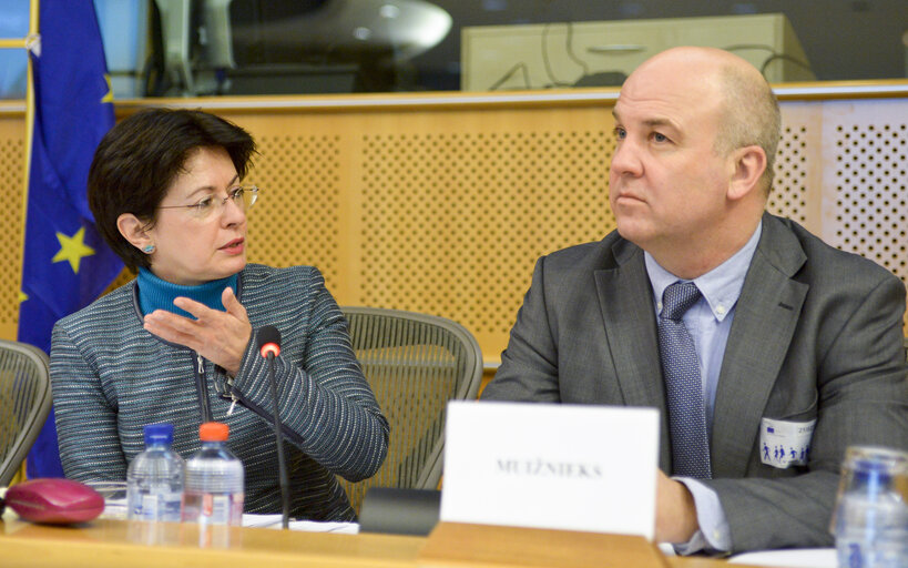 Fotografija 11: DROI Exchange of views with Commissioner in charge of Human Rights of the Council of Europe