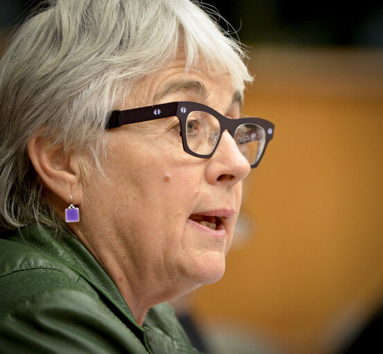 Nuotrauka 1: EU-Republic of Mongolia 9th Interparliamentary Meeting