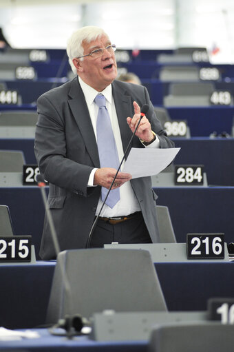 Zdjęcie 31: Plenary session in Strasbourg - Week 6 2013 - Dialogue for a peaceful solution of the Kurdish issue in Turkey