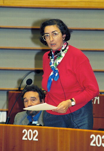 Plenary Session in Brussels