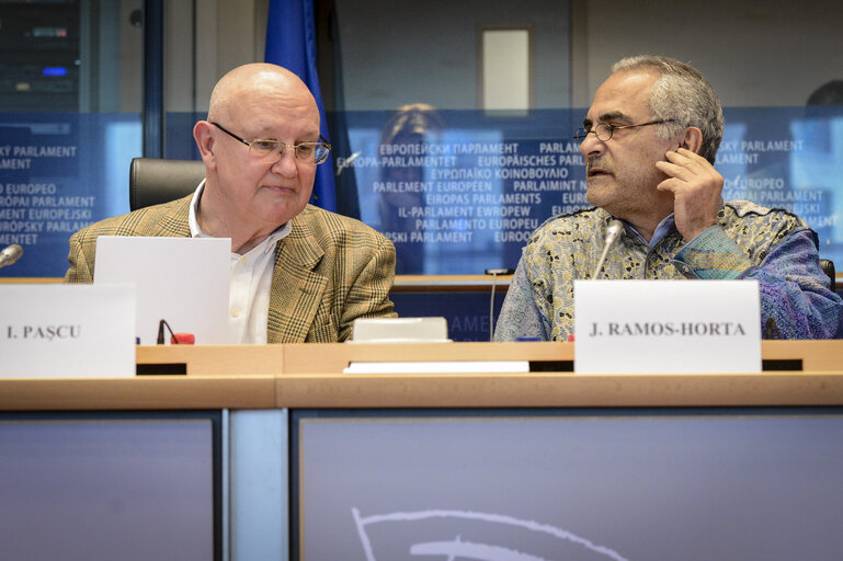 Photo 12 : AFET Committee meeting - Exchange of views with UN Secretary General's Representative for Guinea Bissau