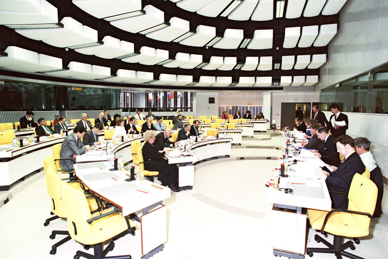 Fotogrāfija 3: EDG Meeting at the EP.