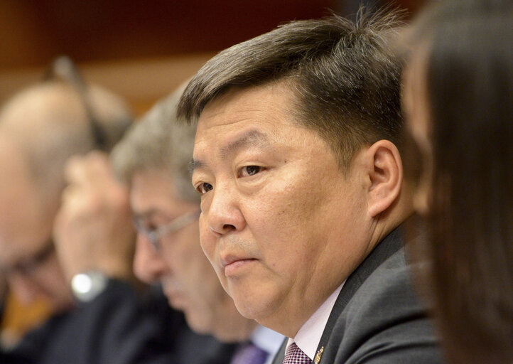 Nuotrauka 11: EU-Republic of Mongolia 9th Interparliamentary Meeting