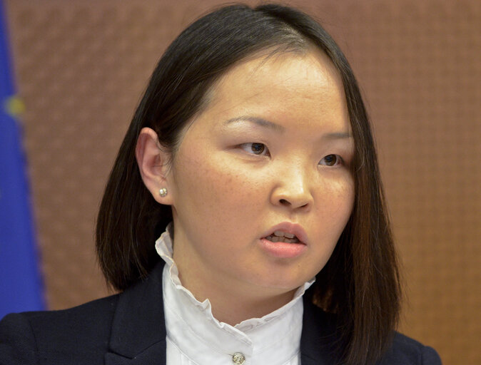 Nuotrauka 12: EU-Republic of Mongolia 9th Interparliamentary Meeting