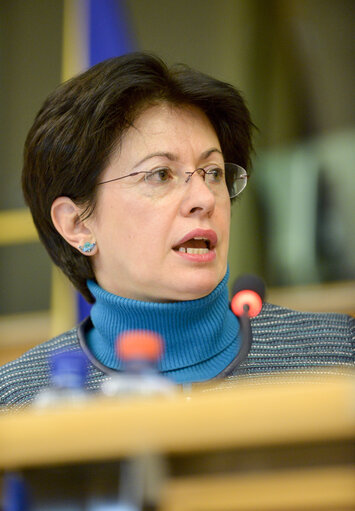 Fotografija 9: DROI Exchange of views with Commissioner in charge of Human Rights of the Council of Europe