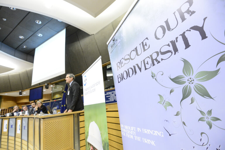 Foto 1: Biodiversity's ticking time bomb: Understanding and Addressing the Problem of Invasive Species in Europe.