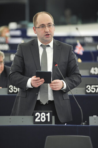 Zdjęcie 17: Plenary session in Strasbourg - Week 6 2013 - Dialogue for a peaceful solution of the Kurdish issue in Turkey