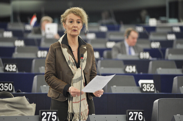 Fotografia 31: Plenary session week 6 2013 in Strasbourg