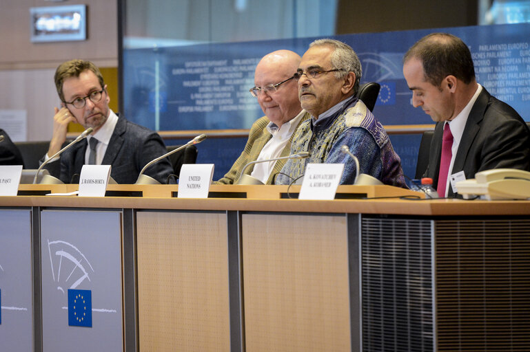 Photo 8: AFET Committee meeting - Exchange of views with UN Secretary General's Representative for Guinea Bissau