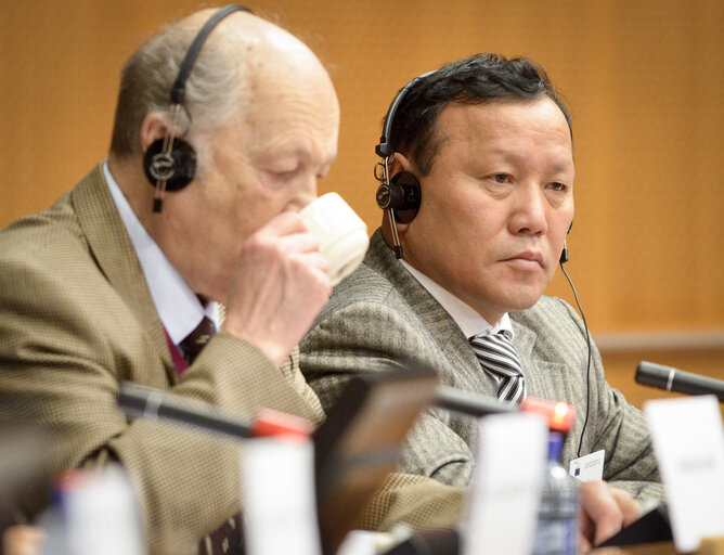 Nuotrauka 8: EU-Republic of Mongolia 9th Interparliamentary Meeting