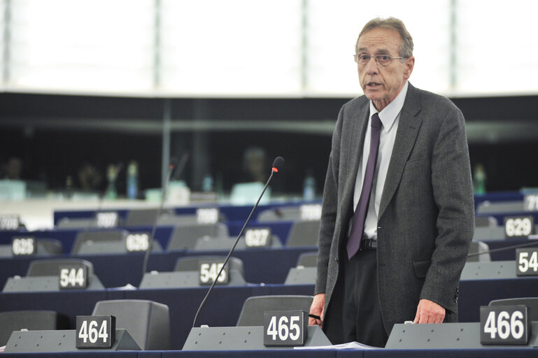 Zdjęcie 35: Plenary session in Strasbourg - Week 6 2013 - Dialogue for a peaceful solution of the Kurdish issue in Turkey