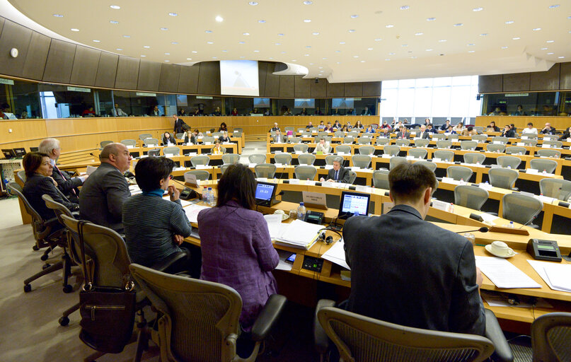 Fotografija 4: DROI Exchange of views with Commissioner in charge of Human Rights of the Council of Europe