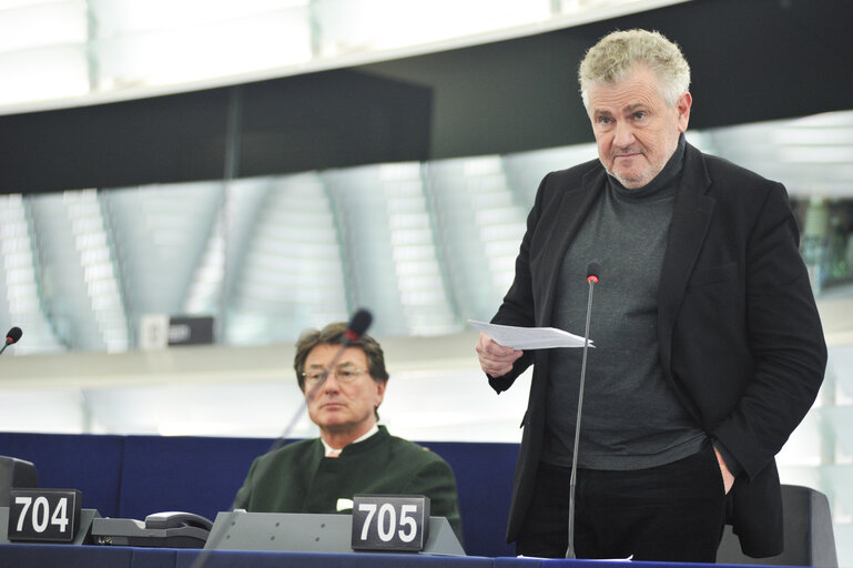 Zdjęcie 29: Plenary session in Strasbourg - Week 6 2013 - Dialogue for a peaceful solution of the Kurdish issue in Turkey