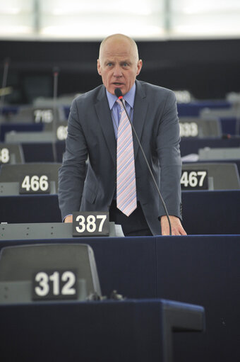 Zdjęcie 5: Plenary session in Strasbourg - Week 6 2013 - Dialogue for a peaceful solution of the Kurdish issue in Turkey