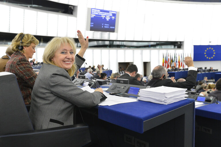 Billede 2: Jolanta HIBNER in plenary session in Strasbourg Week 6 - 2013