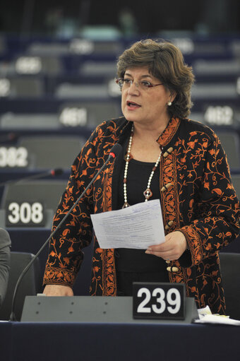 Zdjęcie 3: Plenary session in Strasbourg - Week 6 2013 - Dialogue for a peaceful solution of the Kurdish issue in Turkey