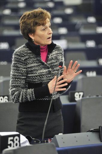 Zdjęcie 19: Plenary session in Strasbourg - Week 6 2013 - Dialogue for a peaceful solution of the Kurdish issue in Turkey